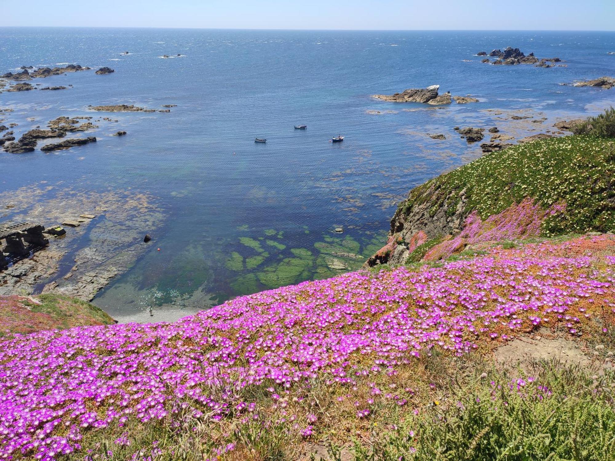 Penare Terrace In Penzance 아파트 외부 사진